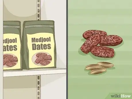 Imagen titulada Plant Date Seeds Step 1