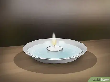 Imagen titulada Make a Flea Trap Step 8