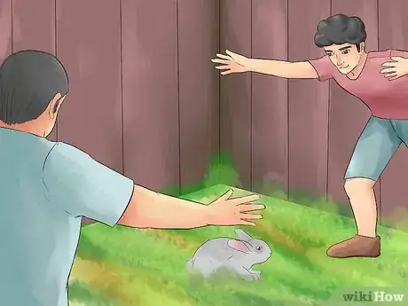 Imagen titulada Catch a Pet Rabbit Step 16