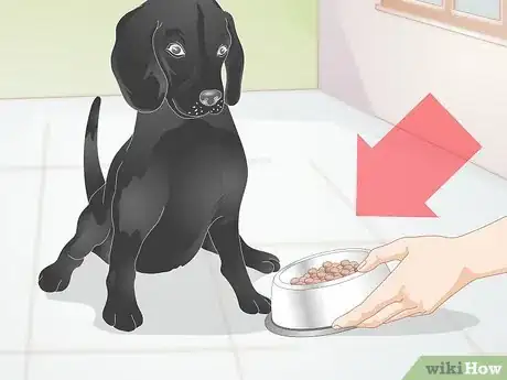 Imagen titulada Create a Feeding Routine for Your Dog Step 5