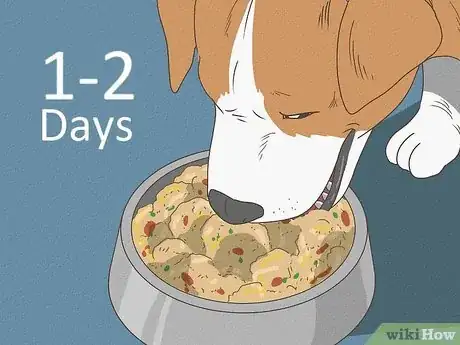 Imagen titulada Care for a Sick Dog Step 6