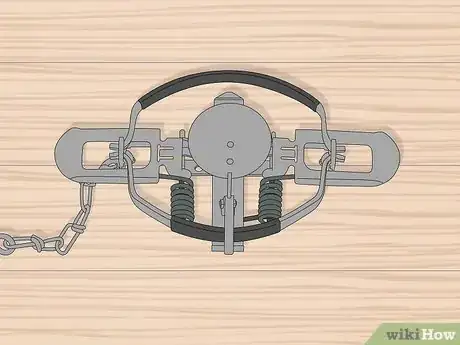 Imagen titulada Make a Coyote Trap Step 10
