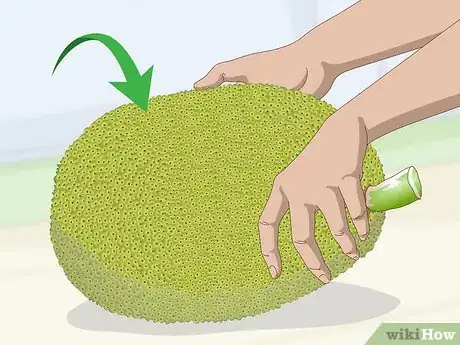 Imagen titulada Buy Jackfruit Step 6