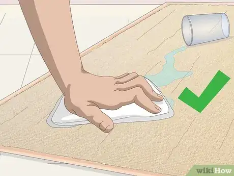 Imagen titulada Clean a Seagrass Rug Step 2