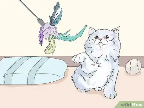 Imagen titulada Diagnose and Treat Benign Tumors in Cats Step 16
