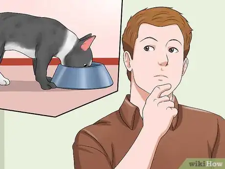 Imagen titulada Help Your Dog Lose Weight Step 13