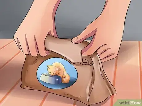 Imagen titulada Prepare Your Cat for Surgery Step 1