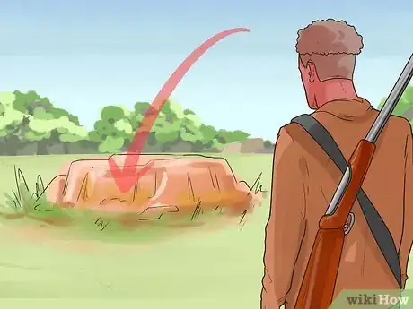 Imagen titulada Train a Dog for Rabbit Hunting Step 16