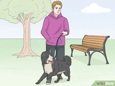 Imagen titulada Teach Your Dog to Drop It Step 13