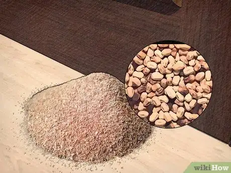 Imagen titulada Identify a Termite Step 8
