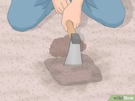 Imagen titulada Make a Coyote Trap Step 11