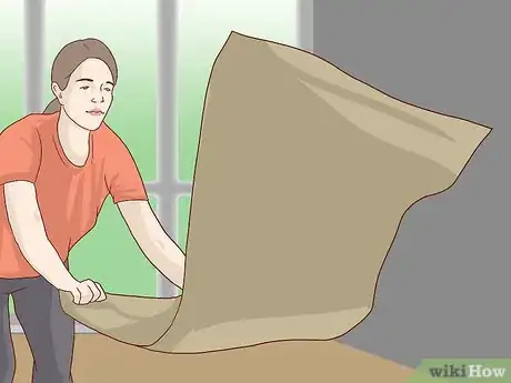 Imagen titulada Clean a Sisal Rug Step 1
