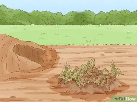 Imagen titulada Trap a Rabbit Step 9