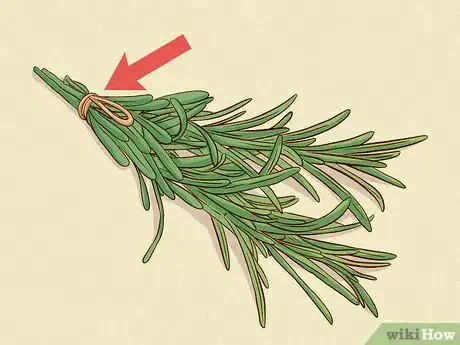 Imagen titulada Store Fresh Rosemary Step 12