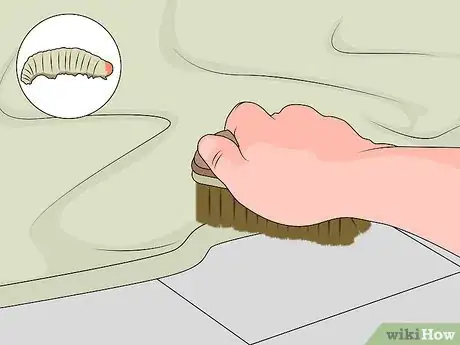 Imagen titulada Use Mothballs Step 9