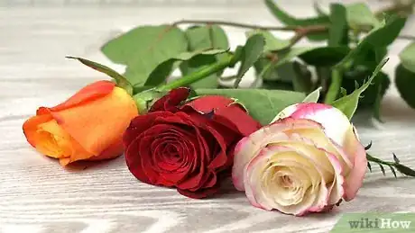 Imagen titulada Preserve Flowers in a Jar Step 1