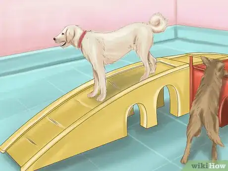 Imagen titulada Calm Down a Playful Large Dog Step 4