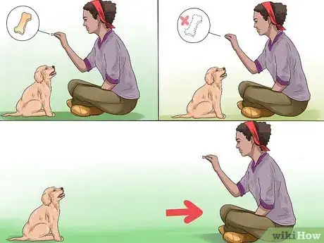 Imagen titulada Train a Golden Retriever Puppy Step 7