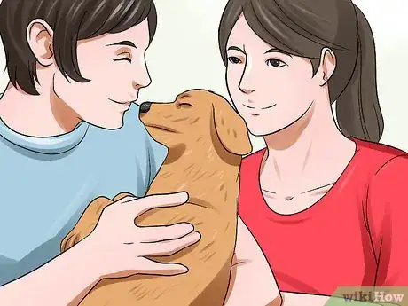 Imagen titulada Surrender a Dog Step 6