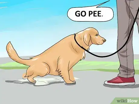 Imagen titulada Train a Dog to Pee Outside Step 3