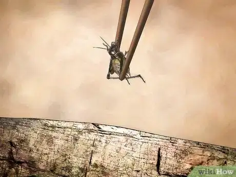 Imagen titulada Care for Live Crickets for Reptiles Step 11