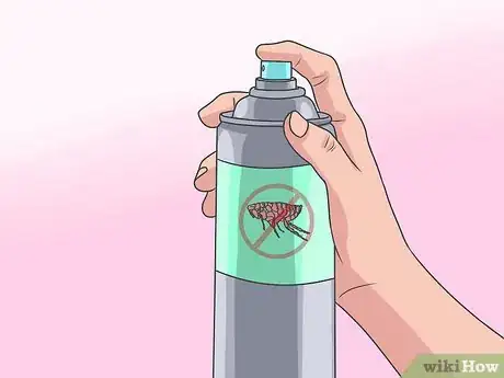 Imagen titulada Eliminate a Flea Infestation in Your Home Step 9