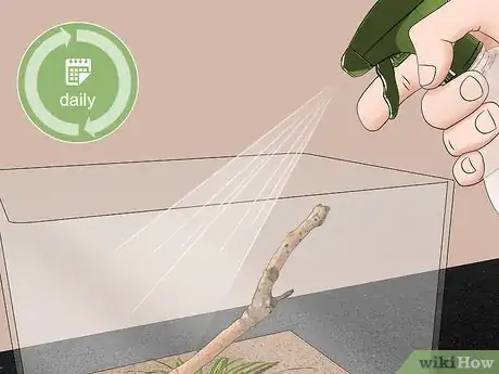 Imagen titulada Take Care of a Katydid Insect Step 5