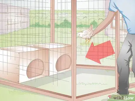 Imagen titulada Look After Baby Chicks Step 10