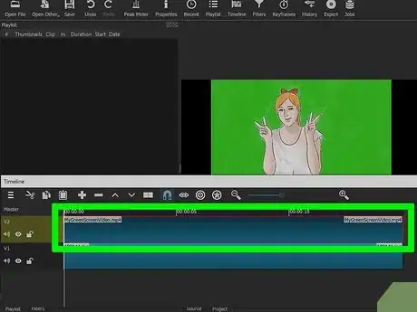Imagen titulada Use a Green Screen Step 15