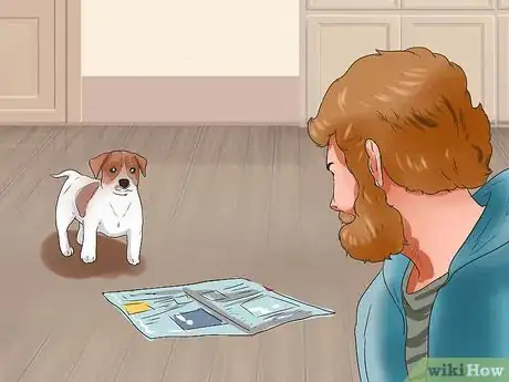 Imagen titulada Keep a Jack Russell Terrier Happy Step 3