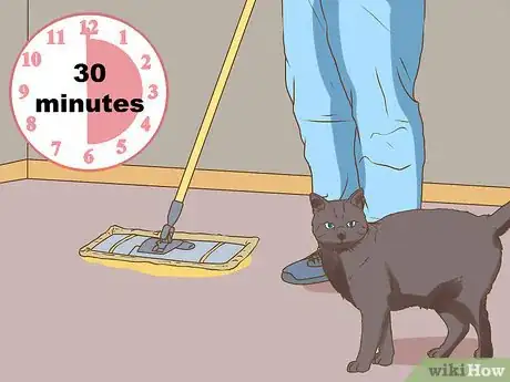 Imagen titulada Get Your House to Not Smell Like Your Pets Step 16
