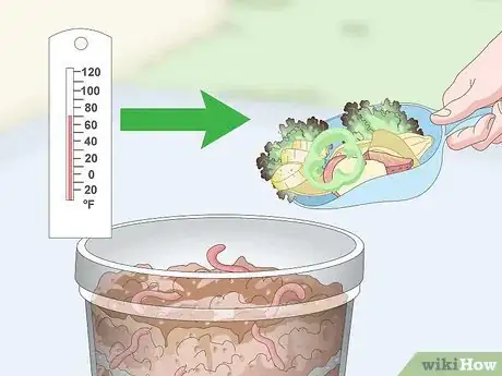 Imagen titulada Feed Worm Farm Worms Step 7