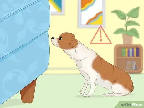 Imagen titulada Potty Train a Chihuahua Step 8