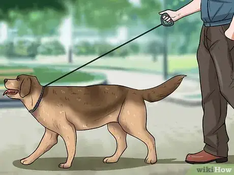 Imagen titulada Train Dogs Not to Bark Step 15
