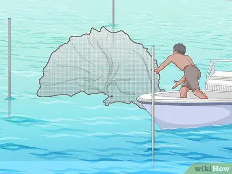Imagen titulada Catch Shrimp Step 11