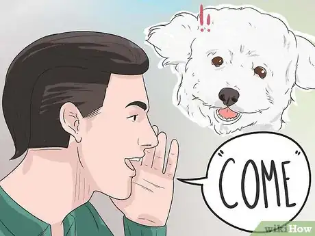 Imagen titulada Train a Bichon Frise Step 9