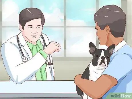 Imagen titulada Get Another Dog After a Pet Dog's Death Step 16