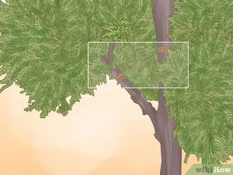 Imagen titulada Prune a Juniper Tree Step 10