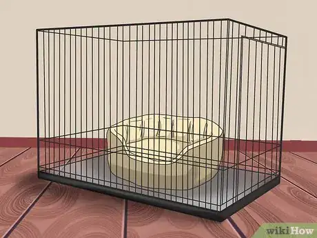 Imagen titulada Introduce a New Dog to Your House and Other Dogs Step 20