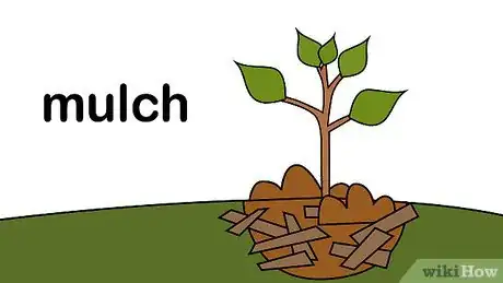 Imagen titulada Plant a Tree Step 19