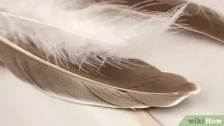 Imagen titulada Make Feather Earrings Step 1