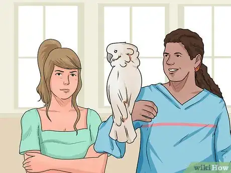 Imagen titulada Teach Your Bird to Talk Step 7