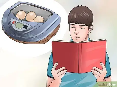 Imagen titulada Breed and Incubate Pheasants Step 8
