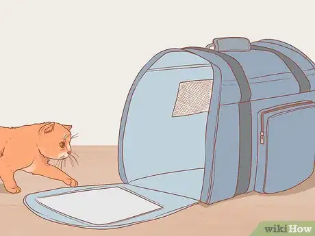 Imagen titulada Pick Up a Kitten Step 8