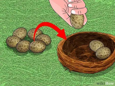 Imagen titulada Find and Take Care of Wild Bird Eggs Step 2