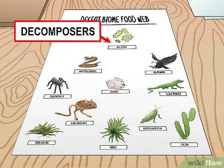 Imagen titulada Draw a Food Web Step 10