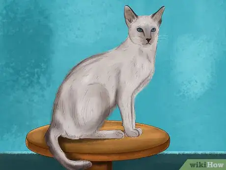 Imagen titulada Tell if Your Cat Has a Food Intolerance Step 11