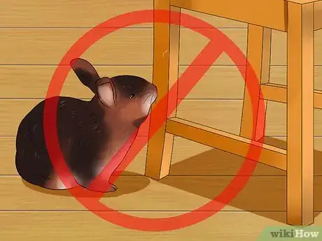 Imagen titulada Care for Rex Rabbits Step 4