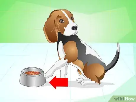 Imagen titulada Get Your Dog to Eat the Dog Food It Does Not Like Step 10