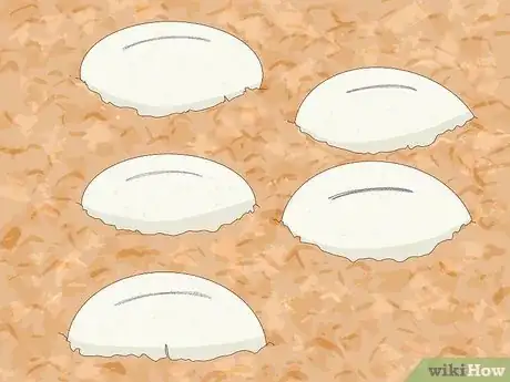 Imagen titulada Take Care of Lizard Eggs Step 6